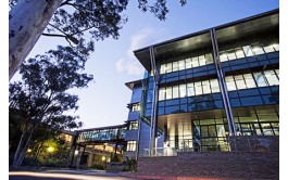 澳洲论文代写卧龙岗大学：社交媒体的出现