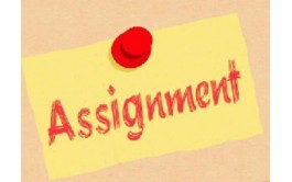 美国留学生Assignment代写与指导