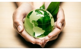 美国毕业论文代写：environment and human
