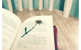 美国Essay代写布朗大学：企业社会责任