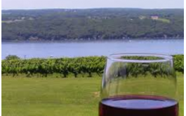 美国论文代写丹佛大学：Valley Winery