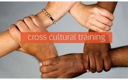 美国论文代写耶鲁大学：对外籍人士的跨文化培训