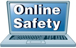 澳洲论文代写：在线安全：用户可以保护自己吗？