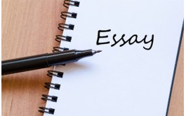 Essay如何减少误区拿到高分呢?